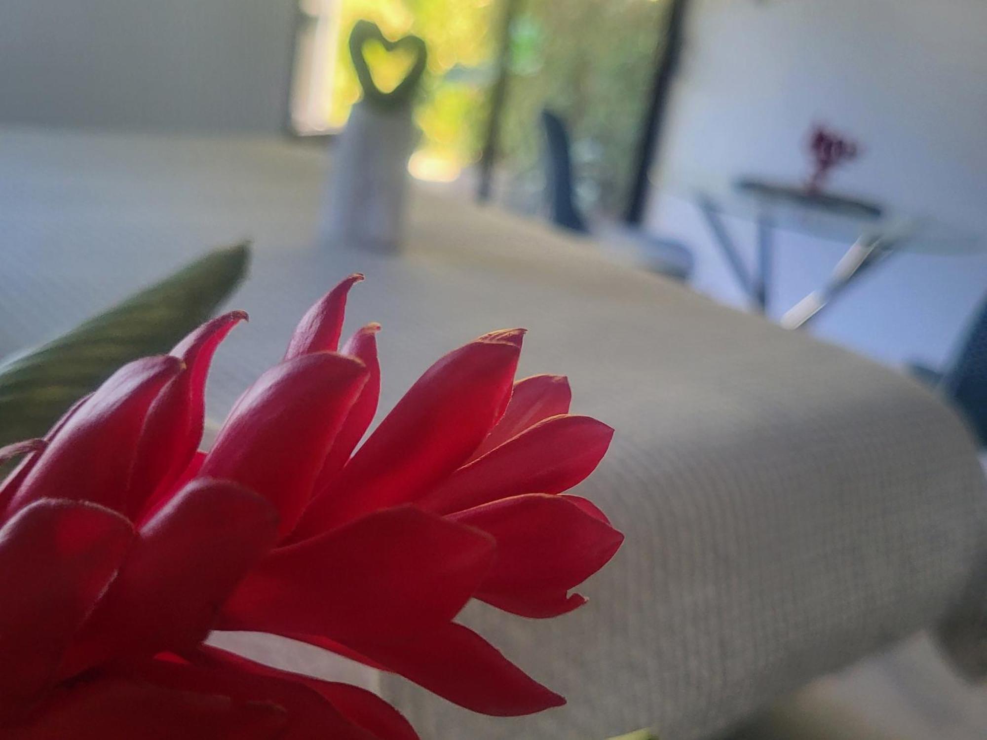 Bed and Breakfast Madre Terra Увіта Екстер'єр фото